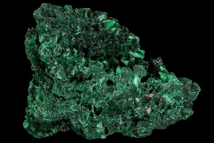 Dark Green, Fibrous Malachite Cluster - Congo #81770